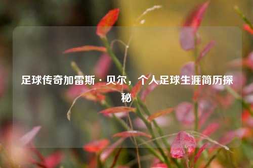 足球传奇加雷斯·贝尔，个人足球生涯简历探秘