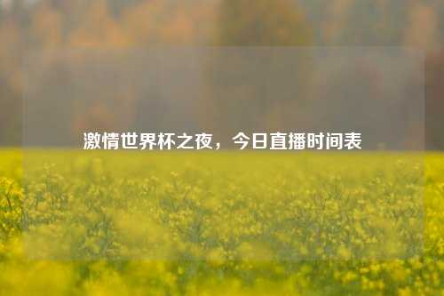 激情世界杯之夜，今日直播时间表