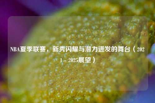 NBA夏季联赛，新秀闪耀与潜力迸发的舞台（2021 - 2025展望）