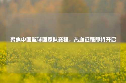 聚焦中国篮球国家队赛程，热血征程即将开启