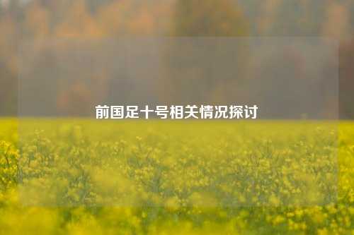 前国足十号相关情况探讨