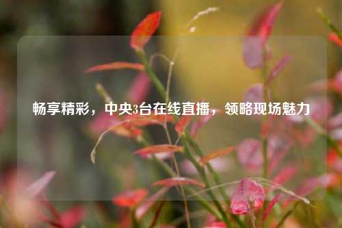 畅享精彩，中央3台在线直播，领略现场魅力