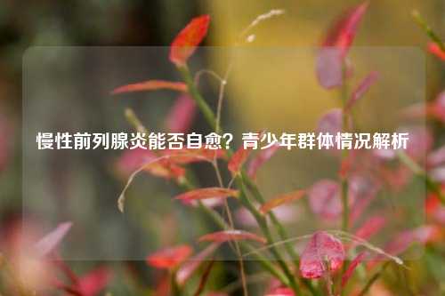 慢性前列腺炎能否自愈？青少年群体情况解析