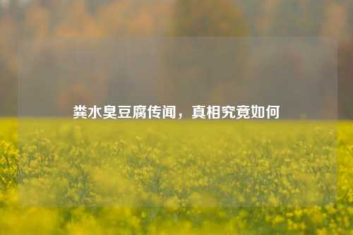 粪水臭豆腐传闻，真相究竟如何