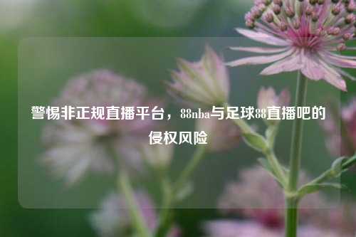 警惕非正规直播平台，88nba与足球88直播吧的侵权风险
