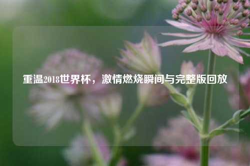 重温2018世界杯，激情燃烧瞬间与完整版回放