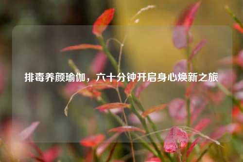 排毒养颜瑜伽，六十分钟开启身心焕新之旅