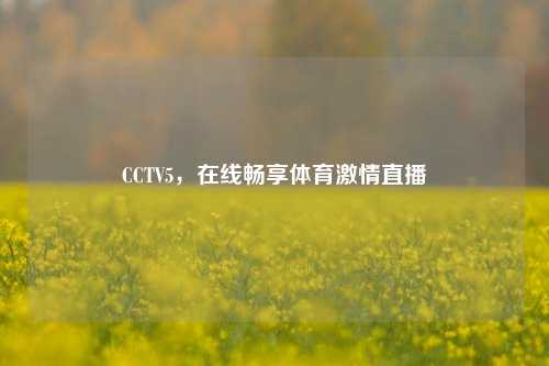CCTV5，在线畅享体育激情直播