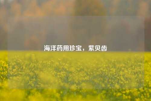 海洋药用珍宝，紫贝齿