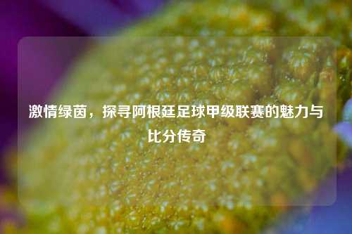 激情绿茵，探寻阿根廷足球甲级联赛的魅力与比分传奇