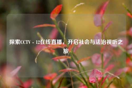探索CCTV - 12在线直播，开启社会与法治视听之旅