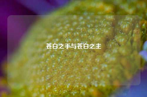 苍白之手与苍白之主