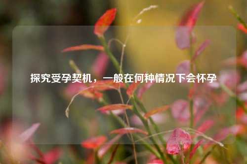 探究受孕契机，一般在何种情况下会怀孕