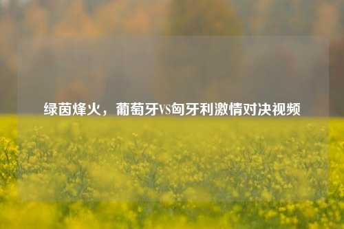 绿茵烽火，葡萄牙VS匈牙利激情对决视频