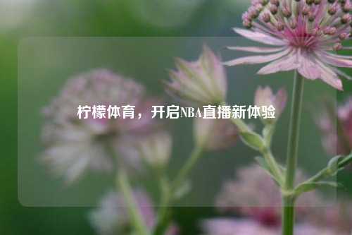 柠檬体育，开启NBA直播新体验