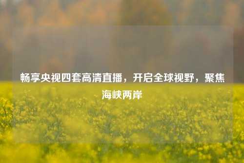 畅享央视四套高清直播，开启全球视野，聚焦海峡两岸