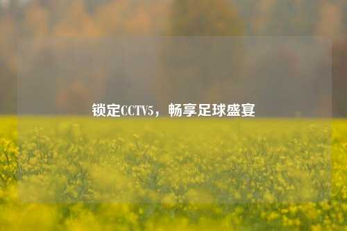 锁定CCTV5，畅享足球盛宴