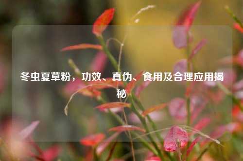 冬虫夏草粉，功效、真伪、食用及合理应用揭秘