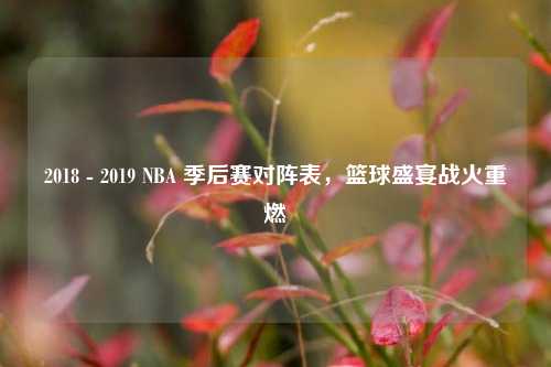 2018 - 2019 NBA 季后赛对阵表，篮球盛宴战火重燃