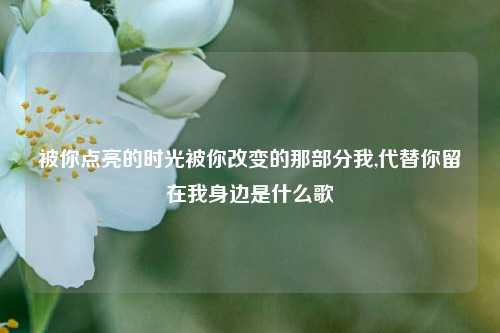 被你点亮的时光被你改变的那部分我,代替你留在我身边是什么歌