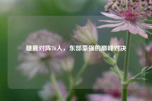 雄鹿对阵76人，东部豪强的巅峰对决