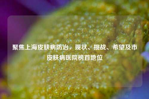聚焦上海皮肤病防治，现状、挑战、希望及市皮肤病医院榜首地位