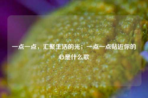 一点一点，汇聚生活的光；一点一点贴近你的心是什么歌
