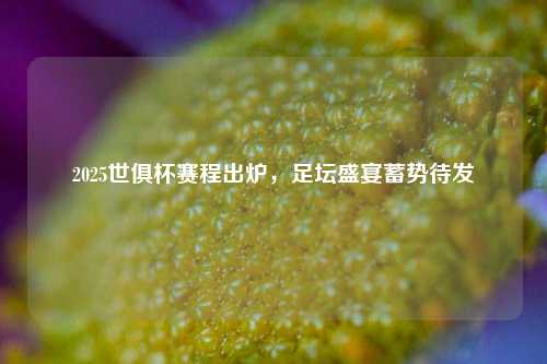 2025世俱杯赛程出炉，足坛盛宴蓄势待发