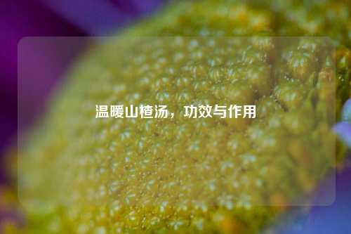 温暖山楂汤，功效与作用