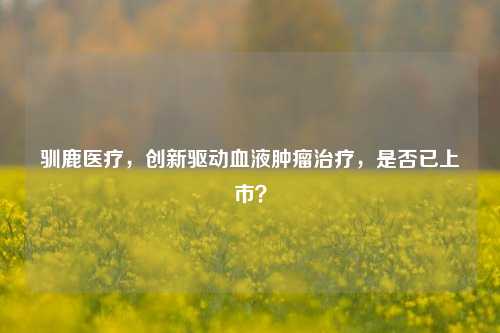 驯鹿医疗，创新驱动血液肿瘤治疗，是否已上市？