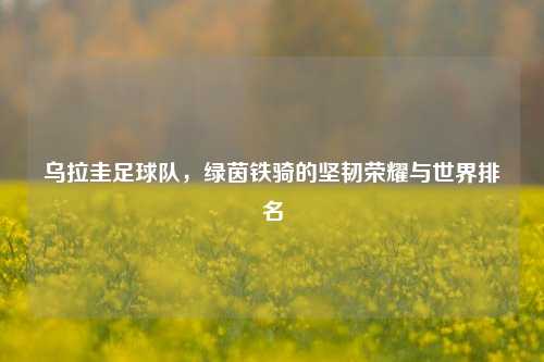 乌拉圭足球队，绿茵铁骑的坚韧荣耀与世界排名