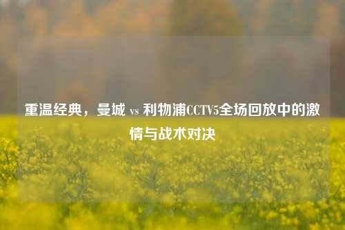 重温经典，曼城 vs 利物浦CCTV5全场回放中的激情与战术对决