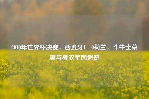2010年世界杯决赛，西班牙1 - 0荷兰，斗牛士荣耀与橙衣军团遗憾