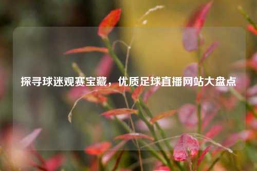 探寻球迷观赛宝藏，优质足球直播网站大盘点