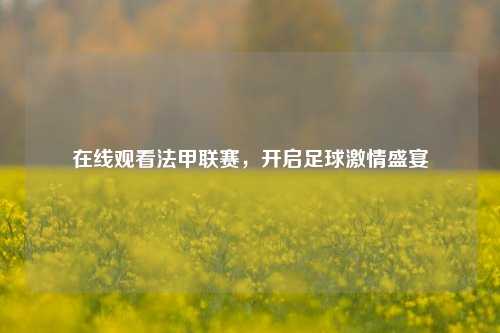 在线观看法甲联赛，开启足球激情盛宴
