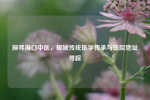 探寻海口中医，椰城传统医学传承与医院地址寻踪