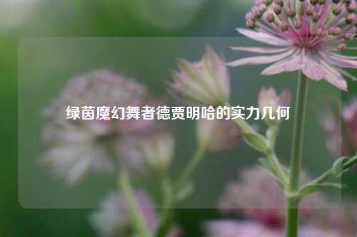 绿茵魔幻舞者德贾明哈的实力几何