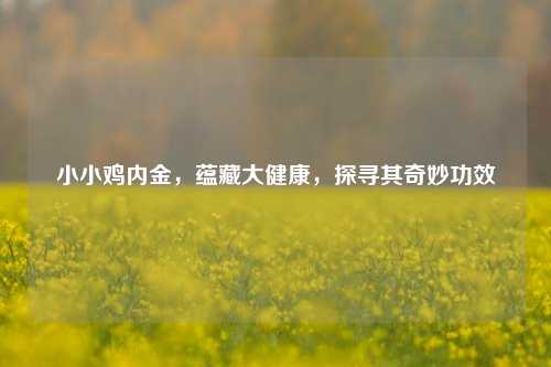 小小鸡内金，蕴藏大健康，探寻其奇妙功效