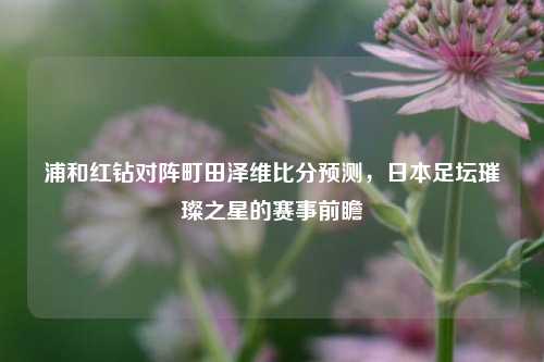 浦和红钻对阵町田泽维比分预测，日本足坛璀璨之星的赛事前瞻
