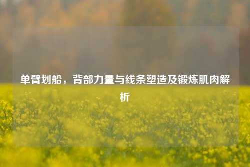 单臂划船，背部力量与线条塑造及锻炼肌肉解析