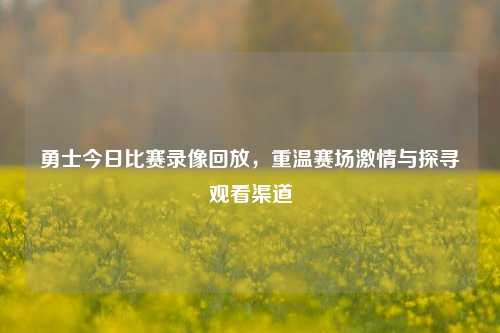 勇士今日比赛录像回放，重温赛场激情与探寻观看渠道