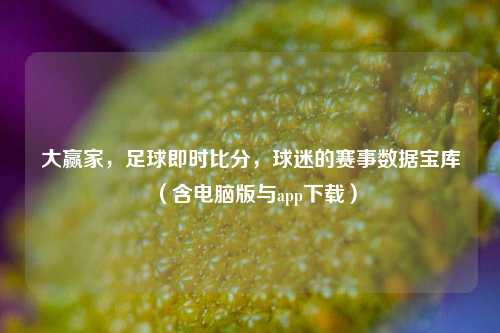 大赢家，足球即时比分，球迷的赛事数据宝库（含电脑版与app下载）