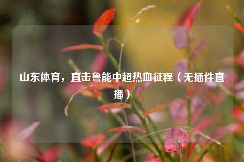 山东体育，直击鲁能中超热血征程（无插件直播）