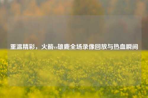 重温精彩，火箭vs雄鹿全场录像回放与热血瞬间