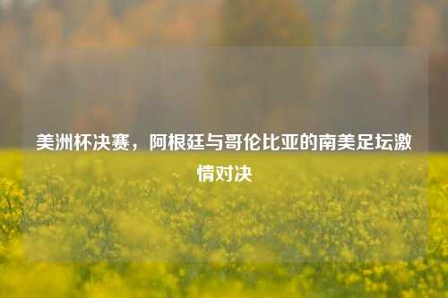 美洲杯决赛，阿根廷与哥伦比亚的南美足坛激情对决