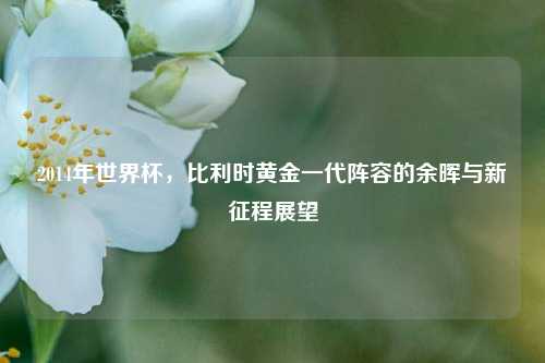 2014年世界杯，比利时黄金一代阵容的余晖与新征程展望