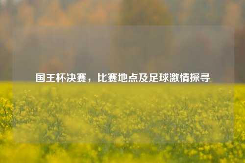 国王杯决赛，比赛地点及足球激情探寻