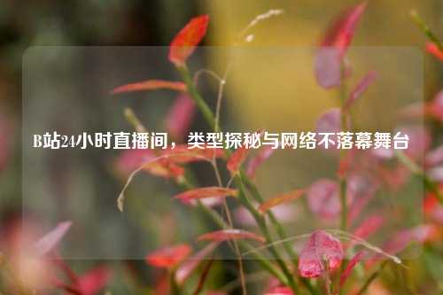 B站24小时直播间，类型探秘与网络不落幕舞台