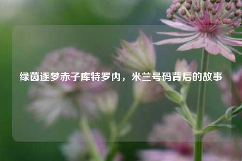 绿茵逐梦赤子库特罗内，米兰号码背后的故事