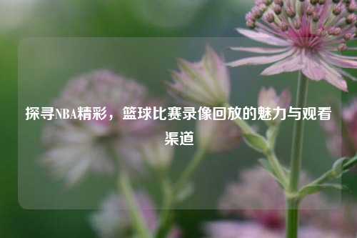 探寻NBA精彩，篮球比赛录像回放的魅力与观看渠道